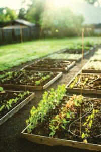 Save Water in Your Garden with Smart Hoses